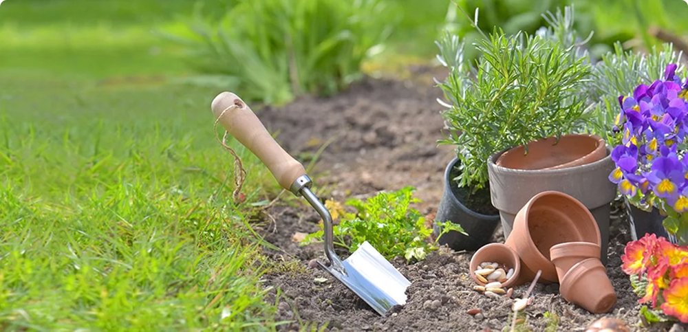 Jardineria serveis puntal